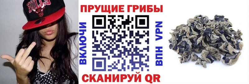 даркнет сайт  Южно-Сахалинск  Галлюциногенные грибы мухоморы 