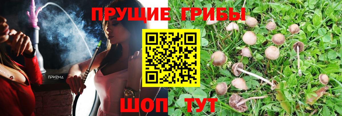 Галлюциногенные грибы Cubensis  Вход с VPN  Южно-Сахалинск 